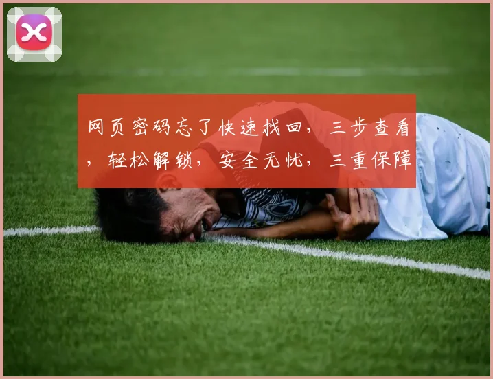 网页密码忘了快速找回，三步查看，轻松解锁，安全无忧，三重保障，便捷高效