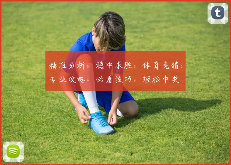 精准分析，稳中求胜，体育竞猜，专业攻略，必看技巧，轻松中奖