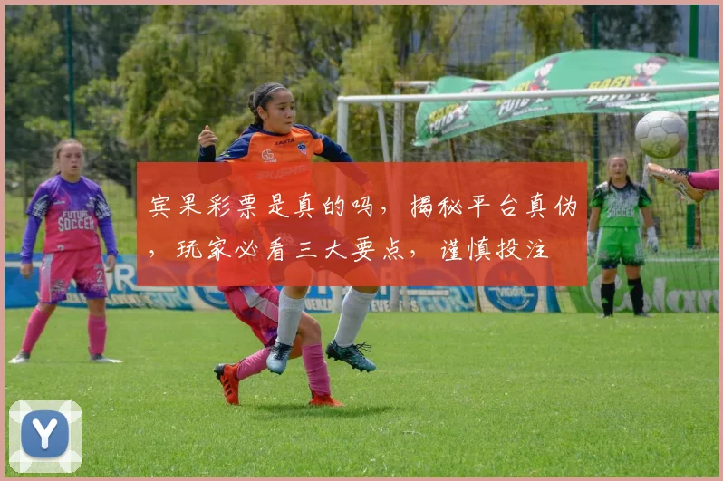 宾果彩票是真的吗，揭秘平台真伪，玩家必看三大要点，谨慎投注