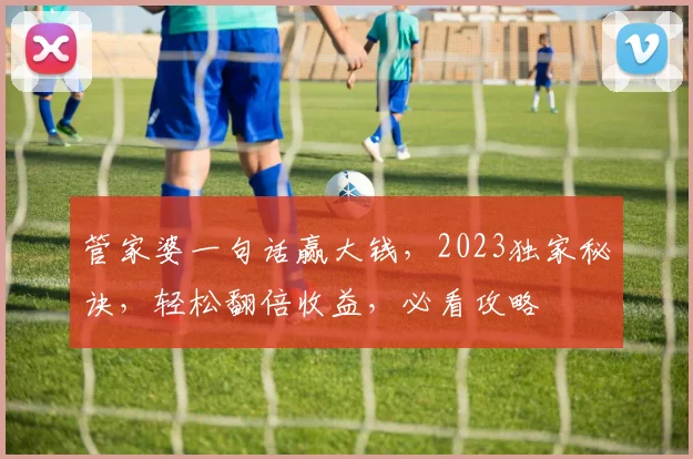 管家婆一句话赢大钱，2023独家秘诀，轻松翻倍收益，必看攻略