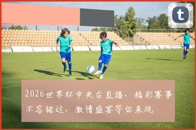 2026世界杯中央台直播，精彩赛事不容错过，激情盛宴等你来观